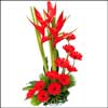 Soft Feelings - Click here to View more details about this Product